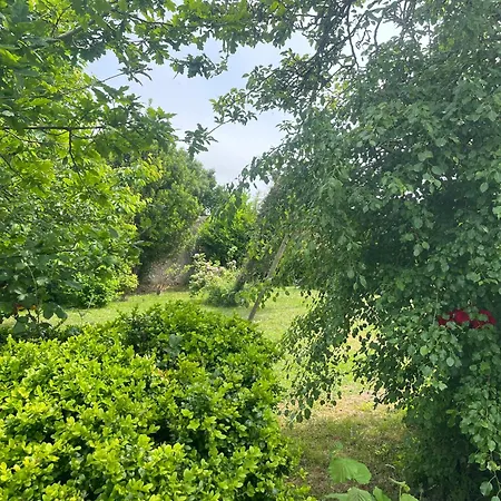 Dday House 3 Bedrooms On Stud Farm Géfosse-Fontenay